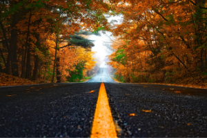 Une route d'automne
